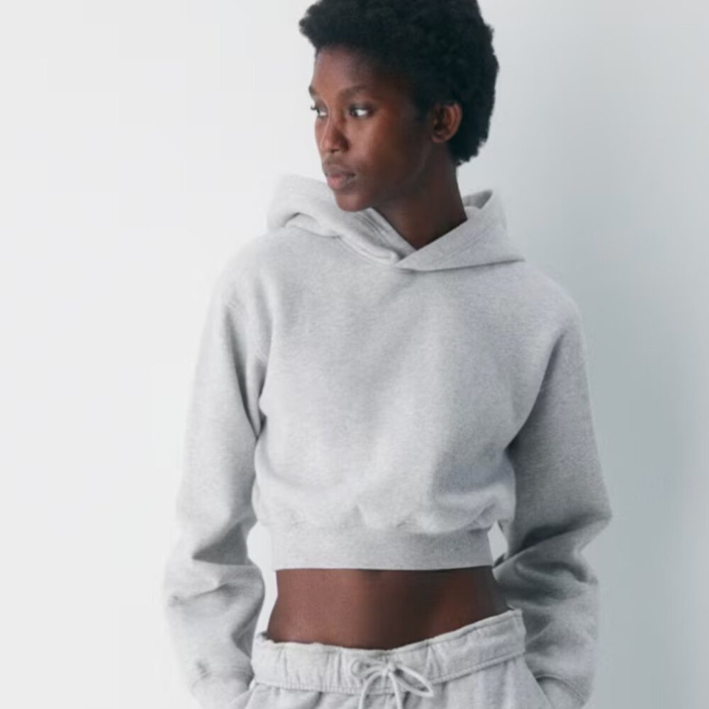 Aritzia Light Gray Cropped Hoodie
